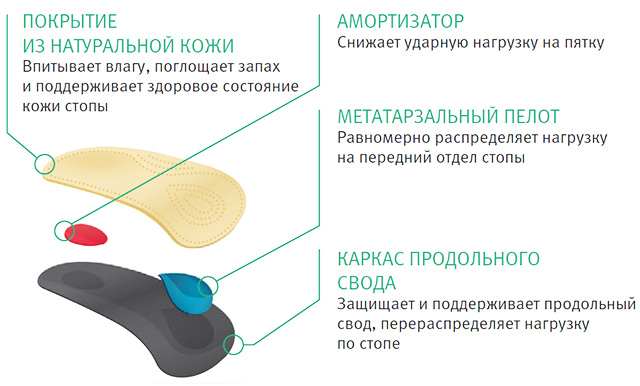 Строение полустелек ортопедических Ортманн / Ortmann viva mini, натуральная кожа, пяточный амортизатор, каркас, поддержка стопы