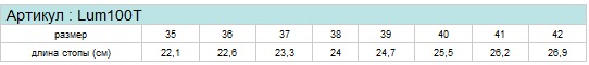Стельки для балеток Lum100T Таблица размеров