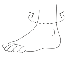 Область измерений при подборе ортеза на голеностоп Orlett DAN201