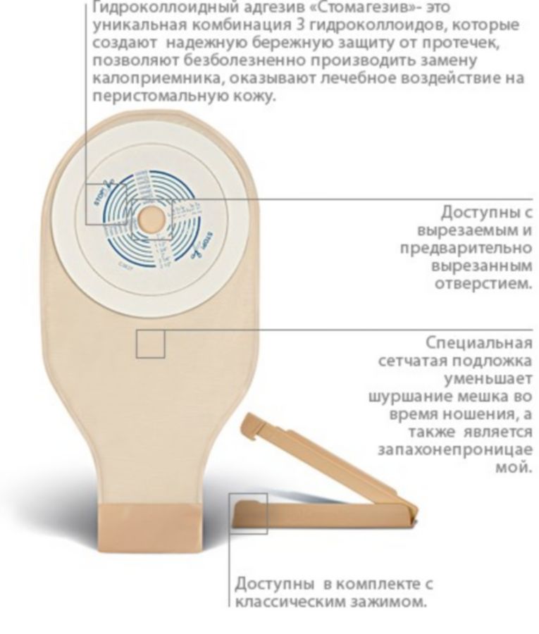 внешний вид