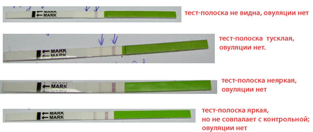 результаты тестов на овуляцию