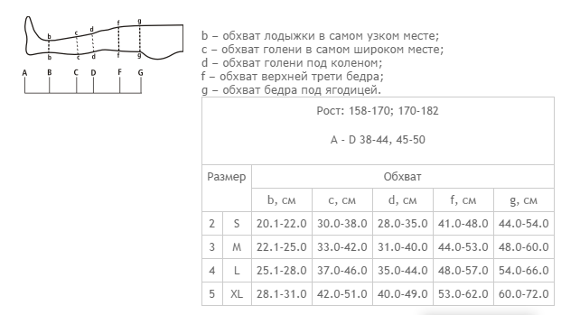 размерная сетка