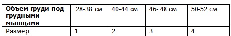 К-504 Фиксатор осанки