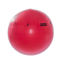 Мяч гимнастический Armed с АВС и диаметром 65см, стоек к нагреву, с насосом, цвет красный, из поливинилхлорида, L 0765b