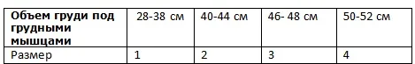 К-504 Фиксатор осанки
