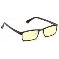 Очки для компьютера SP Glasses Exclusive снижают слезоточивость полнооправные с регулируемыми наносиками, AF059