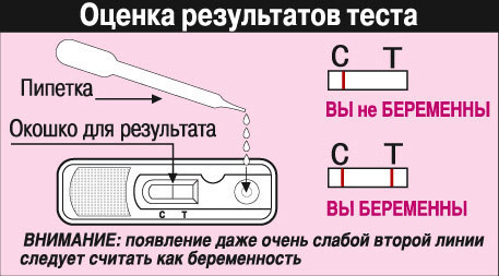 Тест для определения беременности FRAUTEST  Expert, ультрачувствительные, точность определения результата, время до 3мин