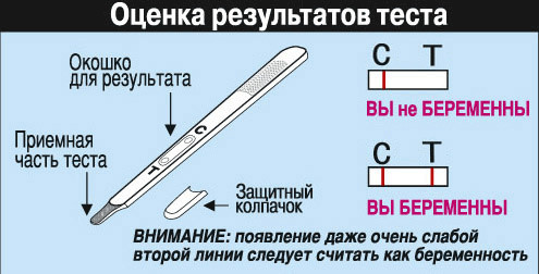 Тест кассета для определения беременности Frau test Comfort, надежный, гигиеничный, комфортный, время результата 5 минут