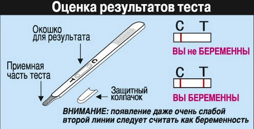 Фраутест На Беременность Фото Результатов