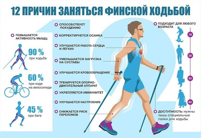 Палки для скандинавской ходьбы Нордик Стайл Про SF 0264 Bradex карбоновые телескопические