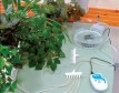Аппарат Невотон-Аква для автоматизированного полива растений дозировка и цикличность устанавливается самостоятельно, 103