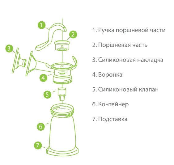 Схема сборки ручного молокоотсоса avent