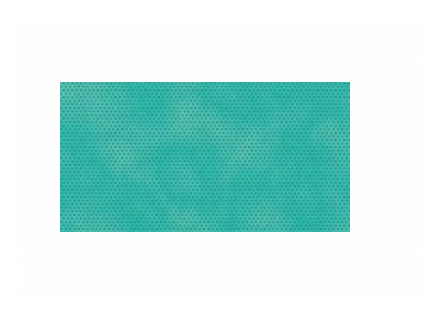 Лента липкая Raucodrape (Raucodrape Adhesive tape) , стерильная, размер 2,5х20/24см,33127